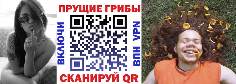 дарк нет как зайти  Полярные Зори  Псилоцибиновые грибы ЛСД  цена  